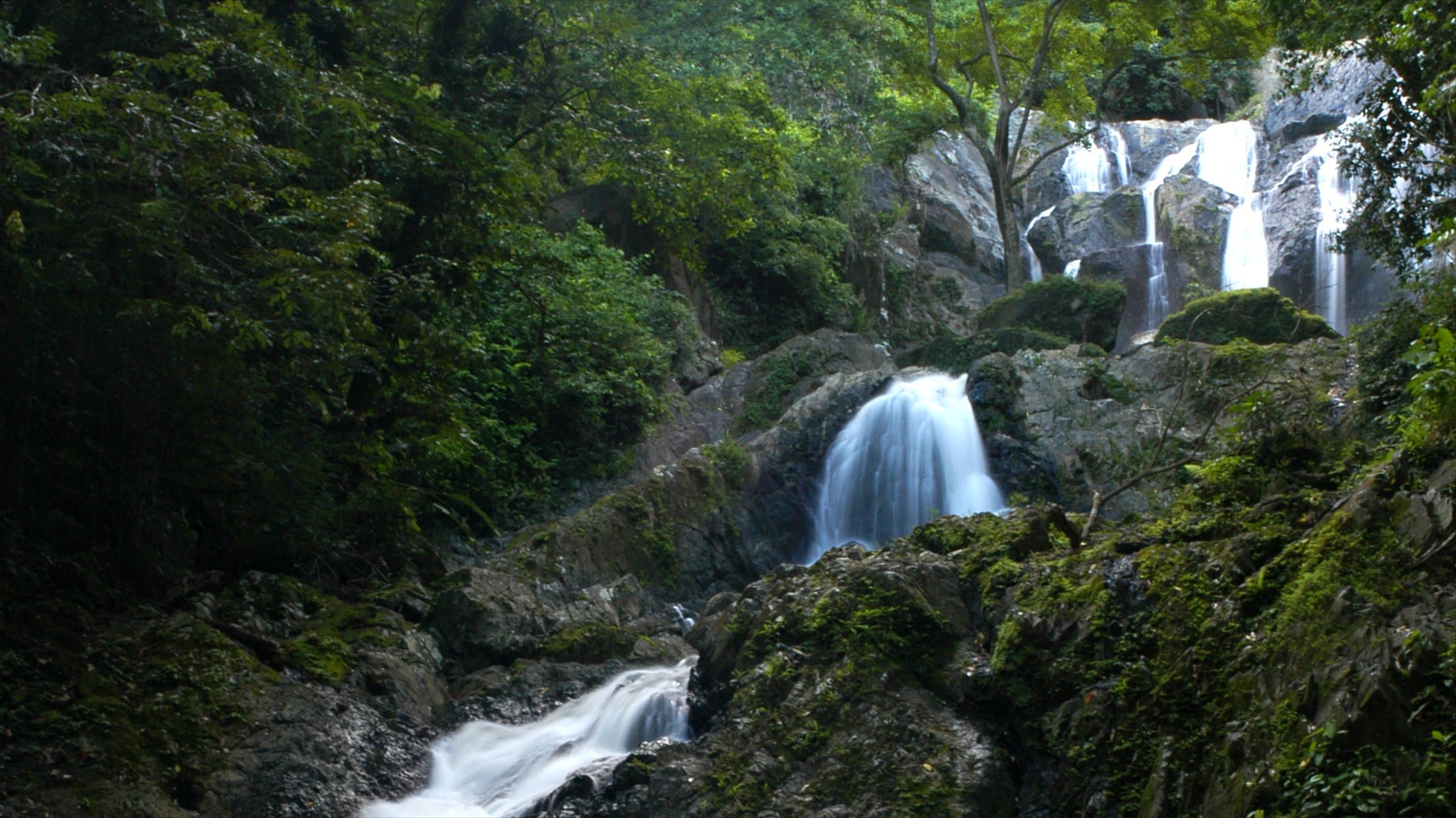 Trinidad Travel Guide